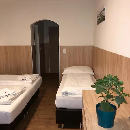 Gastehaus Penny N * ハライン